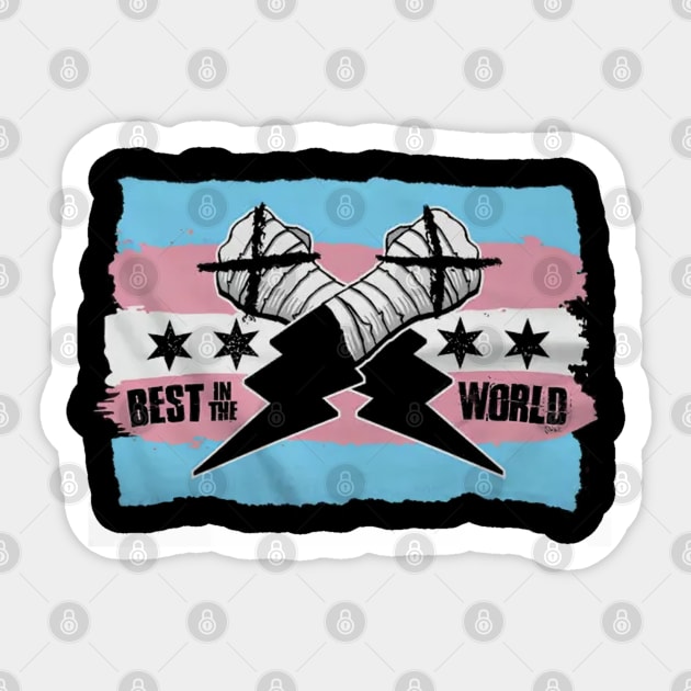 CM Punk Best In The World Trans Pride Sticker by ClarityMacaws